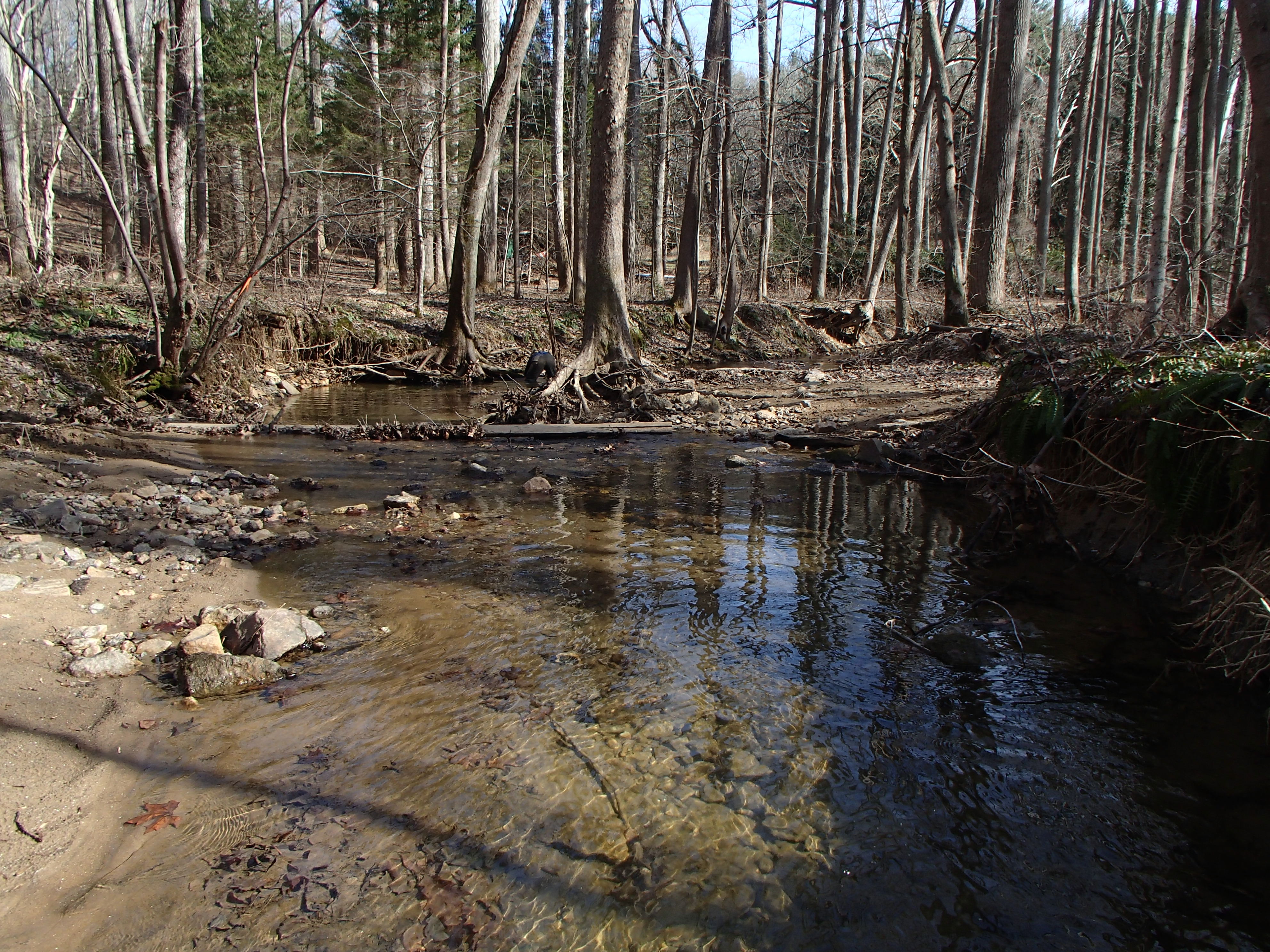 Field photo showing stream conditions at site RKGR-119-S-2016_Midpoint looking downstream